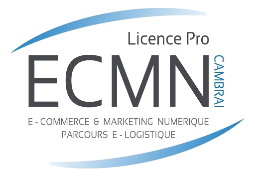 Licence Professionnelle E-Commerce et Marketing Numérique parcours e-Logistique